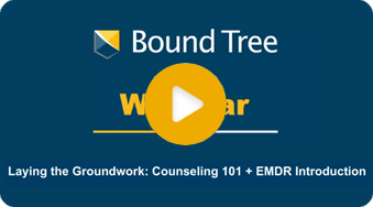 Laying the Groundwork: Counseling 101 + EMDR Introduction