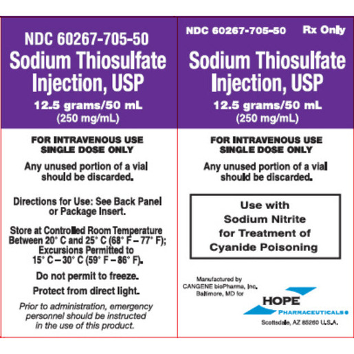 Sodium Thiosulfate 25%, 250mg/mL, 50mL Vial