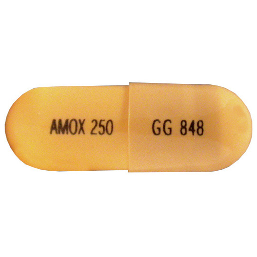 Amoxicillin, 250mg, 100 Capsules