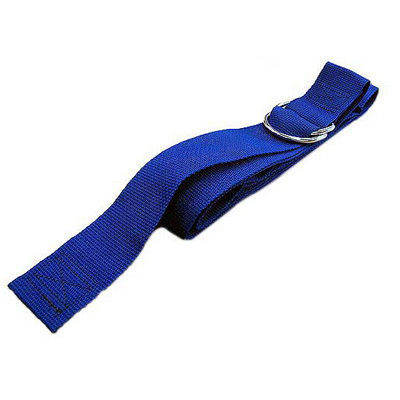 1-piece Polypropylene Strap with D Rings, 15ft L, Blue