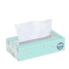 Facial Tissue, 100 Sheets/Box, Case of 30 Boxes