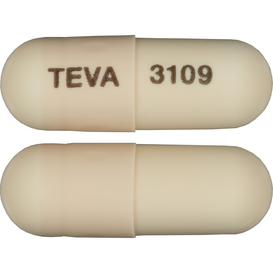 Teva 53 2024