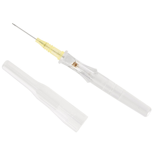 Insyte™ Autoguard™ Shielded IV Catheters