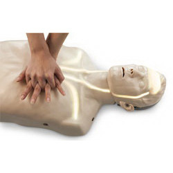Brayden CPR Training Manikins with White Indicator Lights, Adult