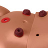 Gaumard Multipurpose Patient Care and CPR Pediatric Simulator, Medium Skin
