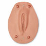 Replacement Vulva for Simulaids Obstetrical Manikin