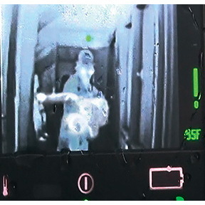 Thermal Image Rescue Randy, 165LB