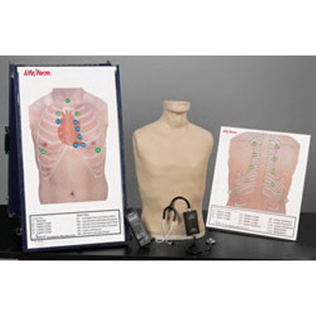 Life/form® Auscultation Training Station