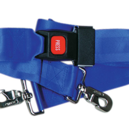 2-piece Nylon Restraint Strap with Metal Push Button Buckle and Swivel Speed Clip Ends, 5ft L x 2in W, Blue