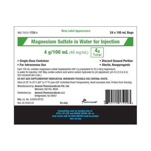 Magnesium Sulfate 4% in Water, 40mg/mL, Bag
