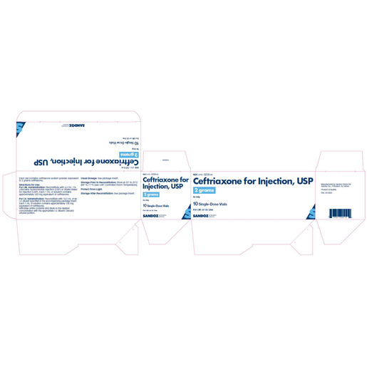 Ceftriaxone, 2g Powder Vial