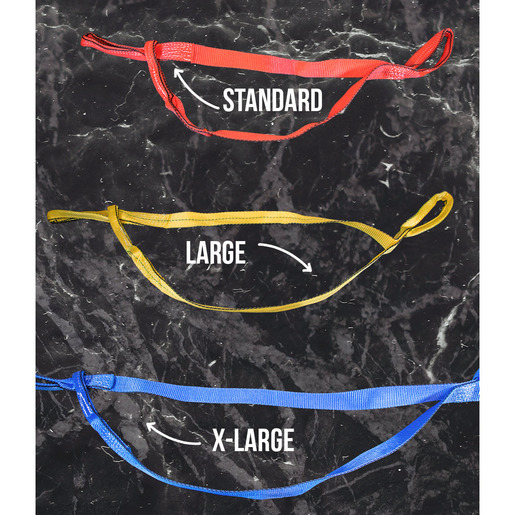 Patient Assist Lift (P.A.L) Strap Kit