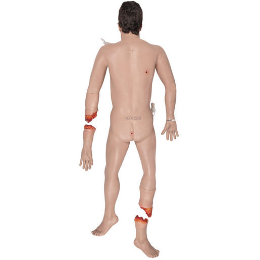 SIMBODIES® Pro Male Manikin, Light Skin