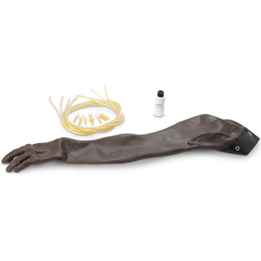 Life/form Adult Venipuncture/Injection Training Arms