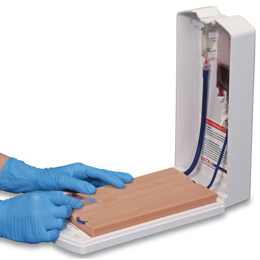 Advanced Four-Vein Venipuncture Training Aid