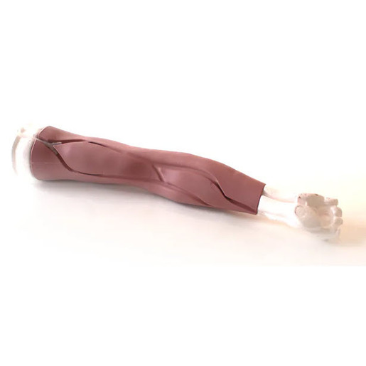 Advanced Venipuncture Arms