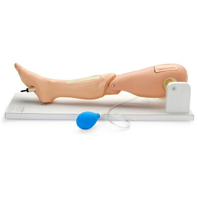 Life/form Child Intraosseous Infusion/Femoral Access Leg