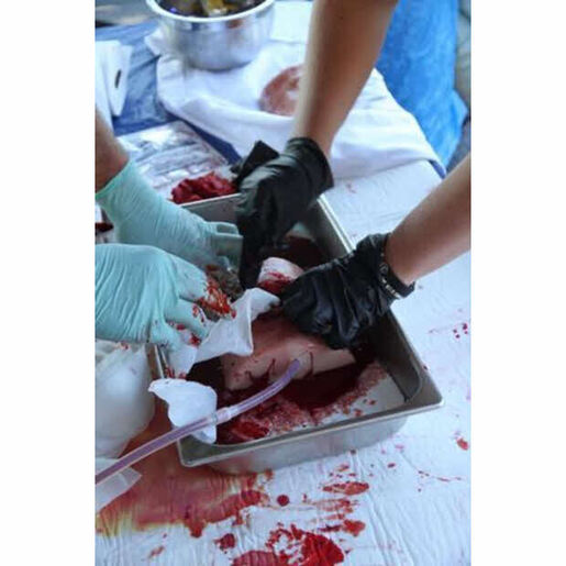 TrueClot® Bleeding Control Instructors Kit