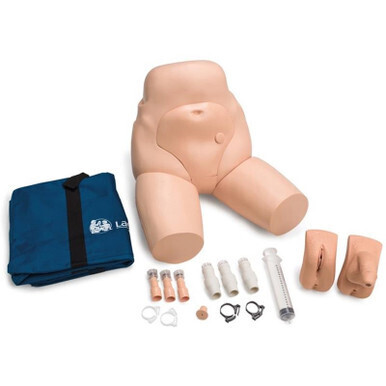 Laerdal Interchangeable Catheterization / Enema Task Trainer