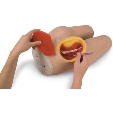 Life/form Intramuscular Injection Simulator