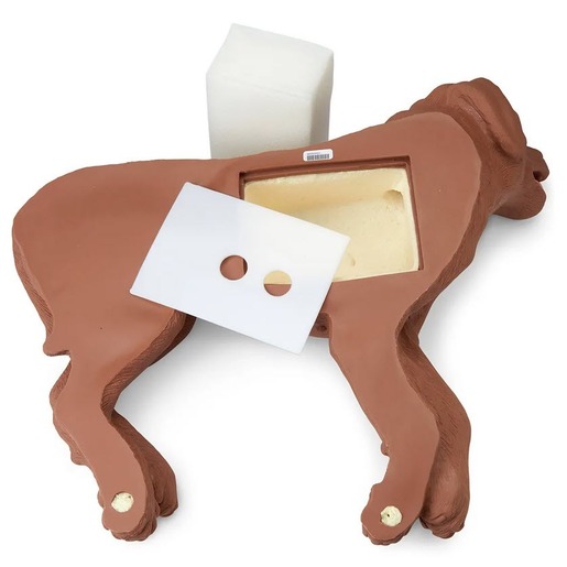 CasPeR The CPR Dog Manikin