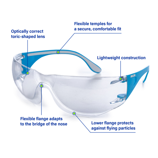 Moldex ADAPT Safety Glasses with Anti-fog Coating