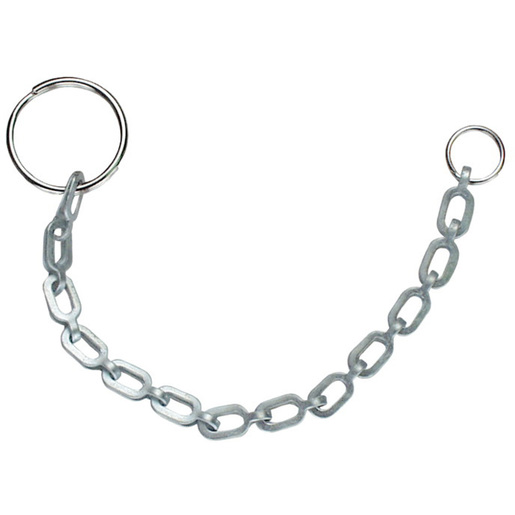 Chain with Closed Ring, 6in