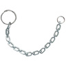 Chain with Closed Ring, 6in