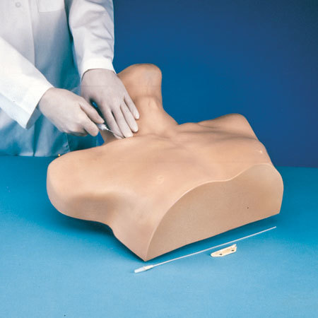 Life/Form® Central Venous Cannulation Simulator, 20in x 17in x 10in
