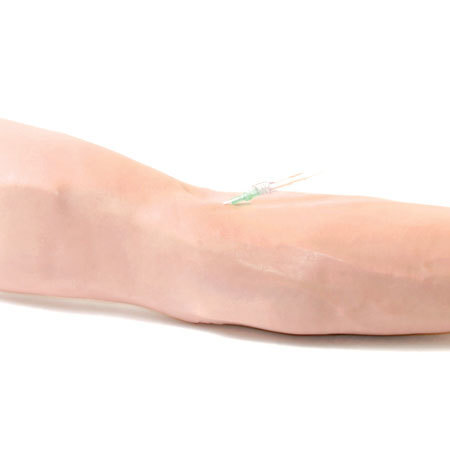 Life/form® Advanced Venipuncture and Injection Arm