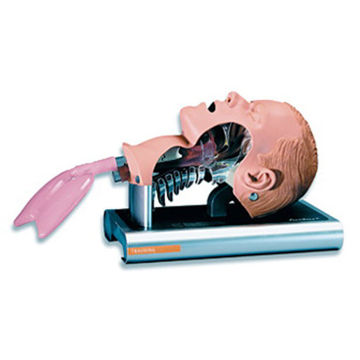 Airway Management Trainer