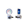Valve and Gauge Assembly, For Model RS-4X