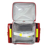 PAX Blood Transfer Bag with 2 Side Pouches, 4L Blood