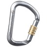 Prosteel™ Screw-Lock D Carabiner, Gray and Bronze