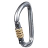 Prosteel™ Screw-Lock D Carabiner, Gray and Bronze