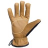 Rappel Gloves, Tan, XXL
