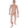 SIMBODIES® Pro Male Manikin, Light Skin
