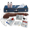 Life/form® Advanced Venipuncture and Injection Arm