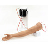 Standard Venipuncture Arms