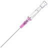 Introcan Safety® IV Catheter, Polyurethane, 20ga x 1in, Pink