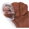 CasPeR The CPR Dog Manikin