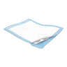 Tendersorb Underpads, 23in x 24in, 50 per Bag