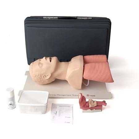 Airway Management Trainer, Adult