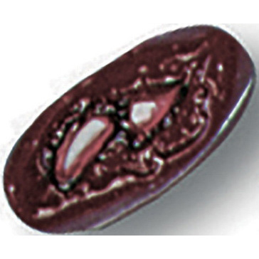 Non-bleeding Moulage, Small Fracture