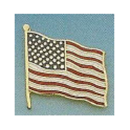 Uniform Service Pin, 3/8in x 1-3/4in, American Flag