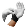ApexPro™ LC100 Exam Gloves