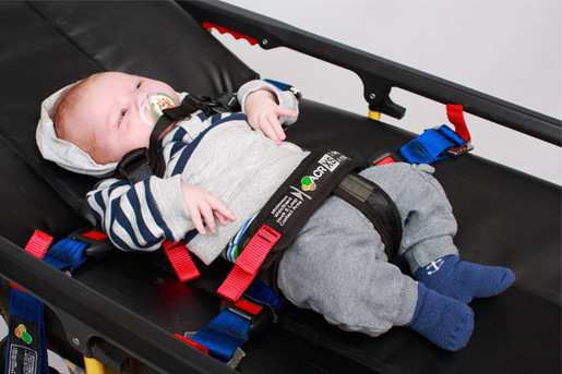 Child hotsell restraint system