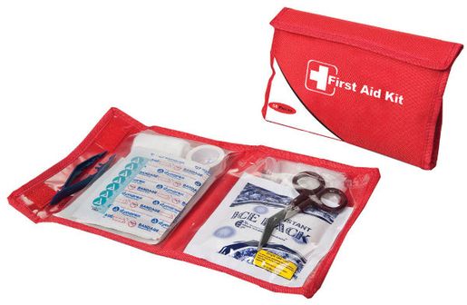 MINI First Aid Kit